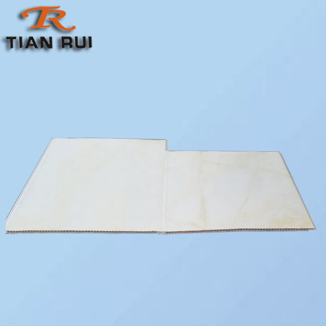 Plastic Molding Tool For Ceiling Panel